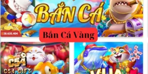 Bắn Cá Vàng C54: Bí Kíp Săn Cá Cực Đỉnh Từ Các Cao Thủ