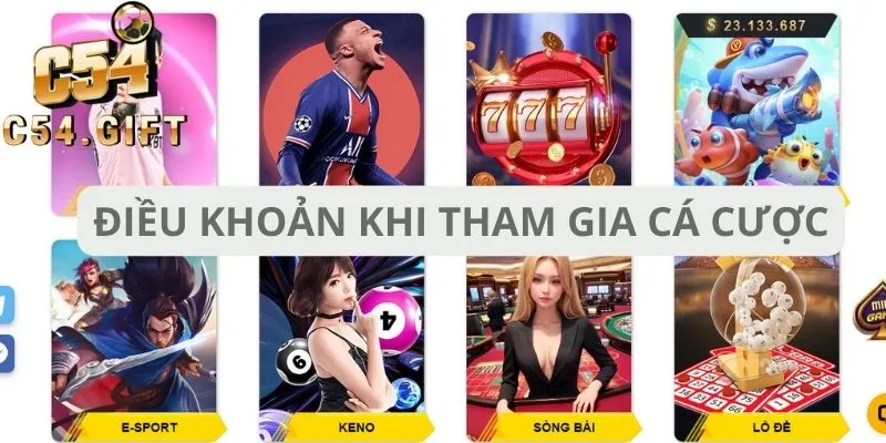 Điều khoản về yêu cầu tham gia cá cược