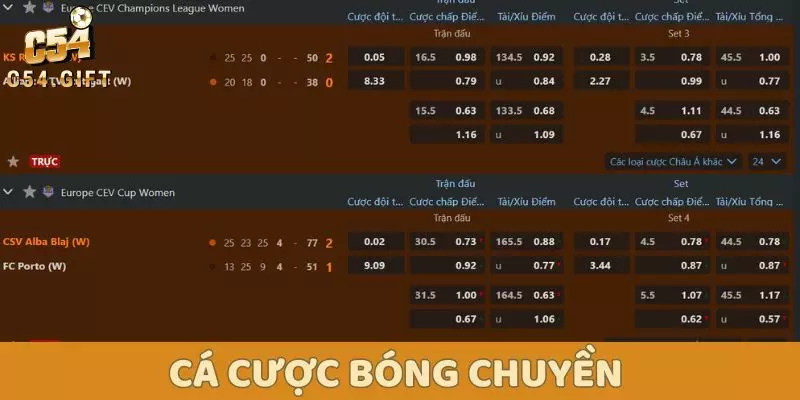 Cá cược bóng chuyền