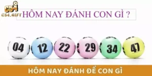 Hôm Nay Đánh Đề Con Gì