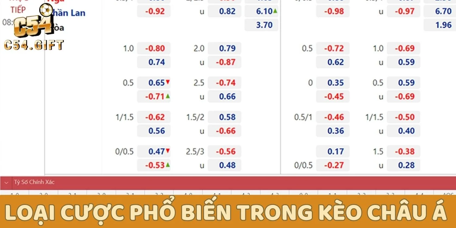 Loại cược phổ biến nhất trong kèo châu Á