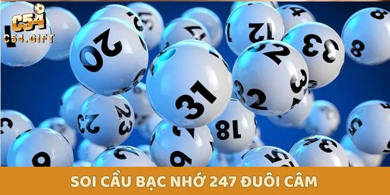Hướng Dẫn Soi Cầu 247 Bạc Nhớ Chính Xác Cùng C54 3 Thống kê đuôi câm