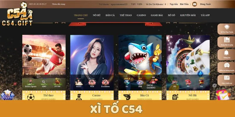 Hướng dẫn chơi xì tố đánh bại mọi đối thủ từ chuyên gia 1 Xì tố C54